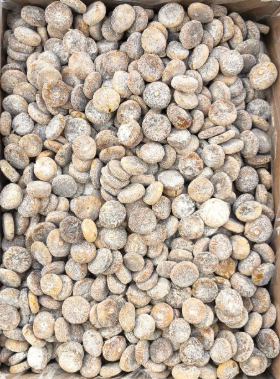 خرید انجیر سکه ای آردی + فروش استثنائی